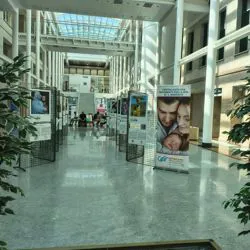 La mostra nell'atrio dell'ospedale Fracastoro
